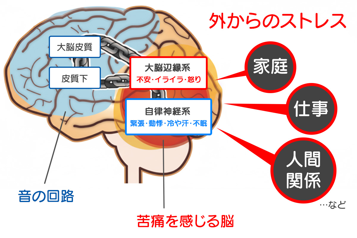 耳鳴りメカニズム